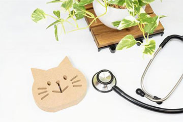 サンプルイメージ